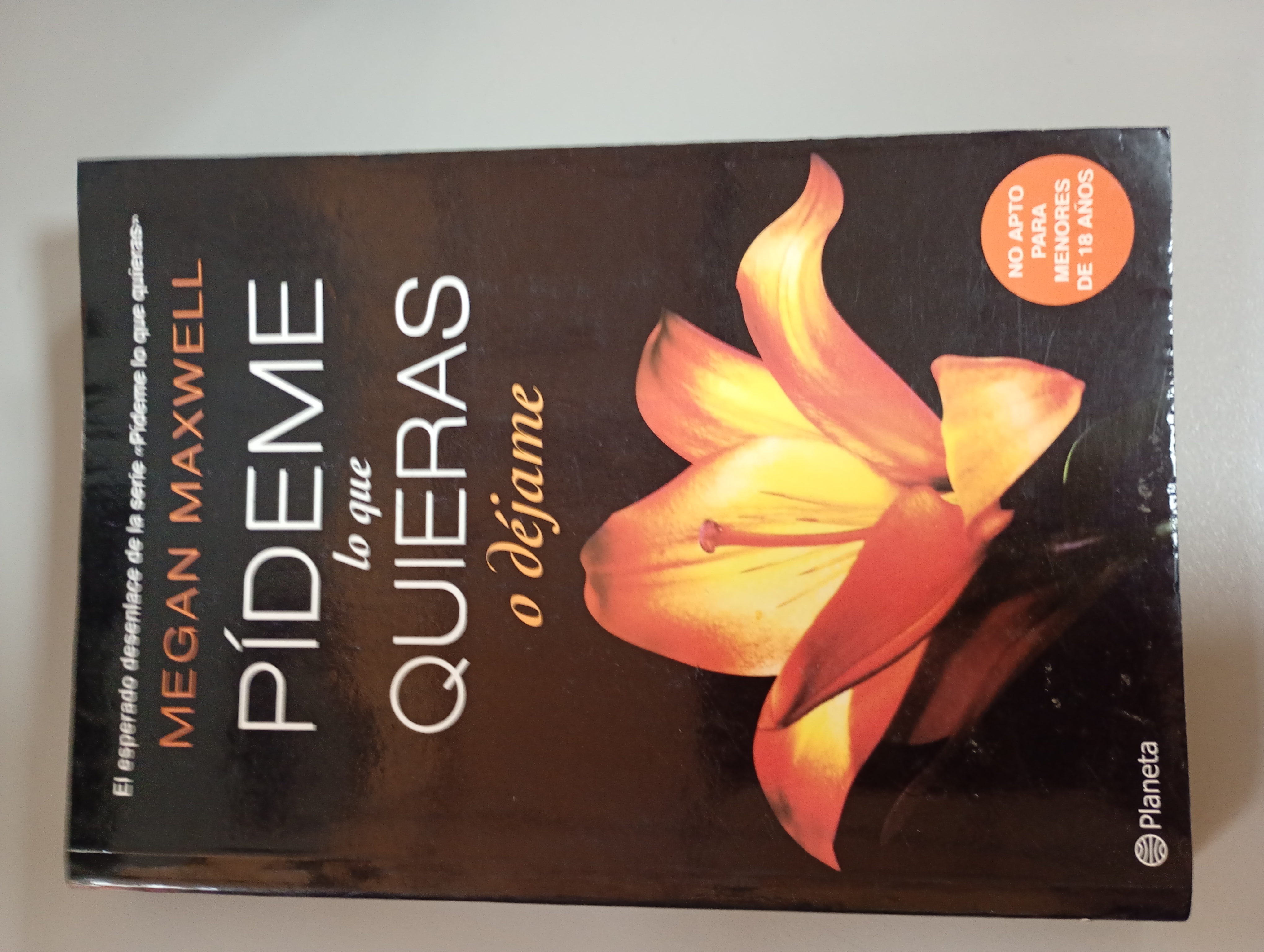  PIDEME LO QUE QUIERASNovelas